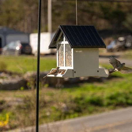 Cozy Cottage, Hot Tub, Fire Pit, 15Min To Hudson And Hiking Catskill Zewnętrze zdjęcie