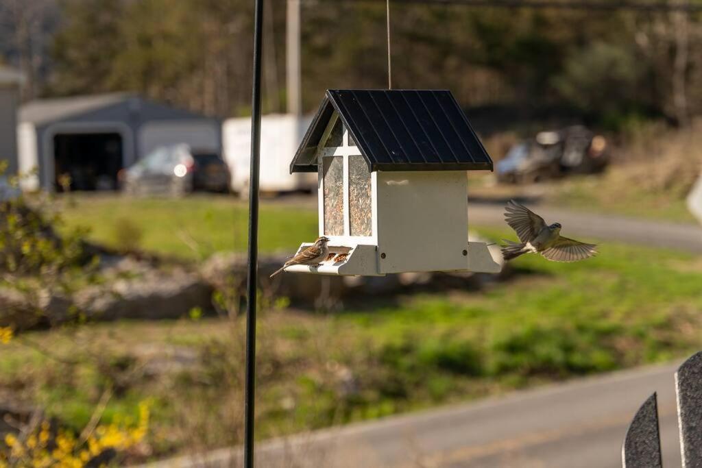 Cozy Cottage, Hot Tub, Fire Pit, 15Min To Hudson And Hiking Catskill Zewnętrze zdjęcie